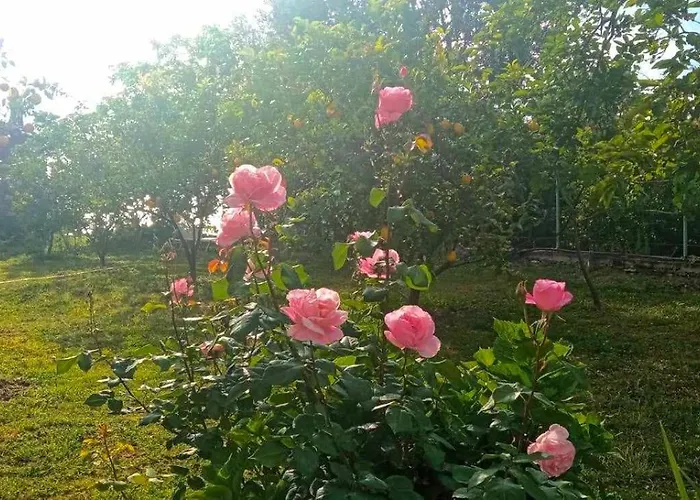 Helen Appartement Lukovë