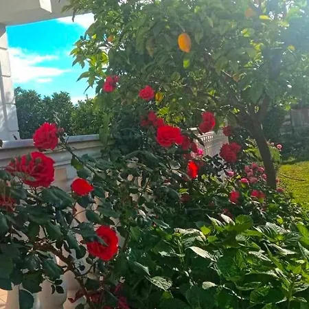Helen Apartmán *