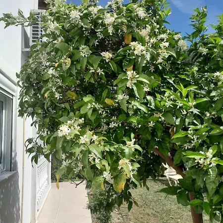 Appartement Helen Lukovë