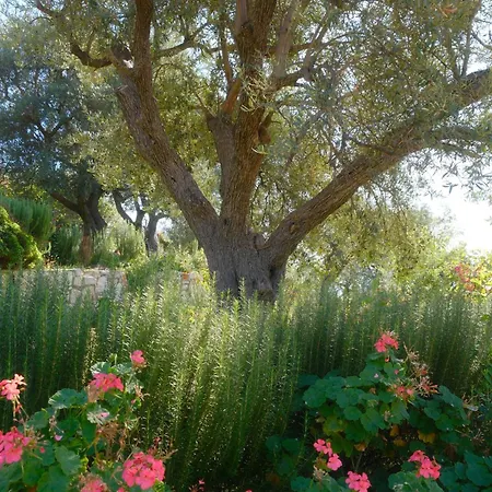 Helen Appartement Lukovë
