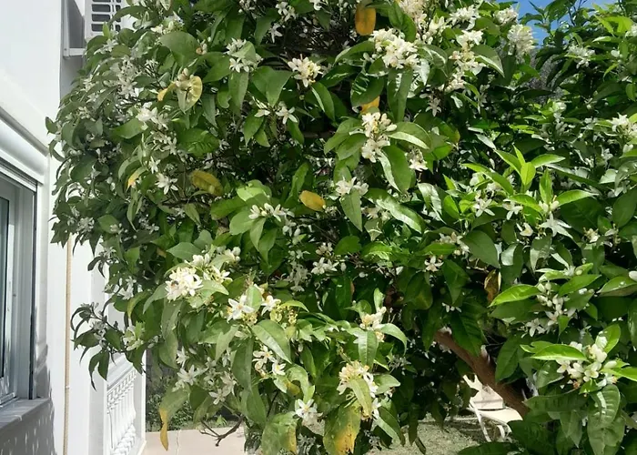 Apartment Helen Lukove