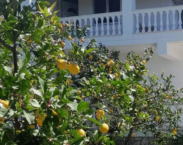 Apartment Helen Lukove