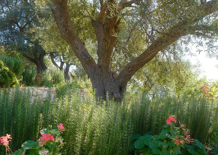 Helen Apartment Lukove